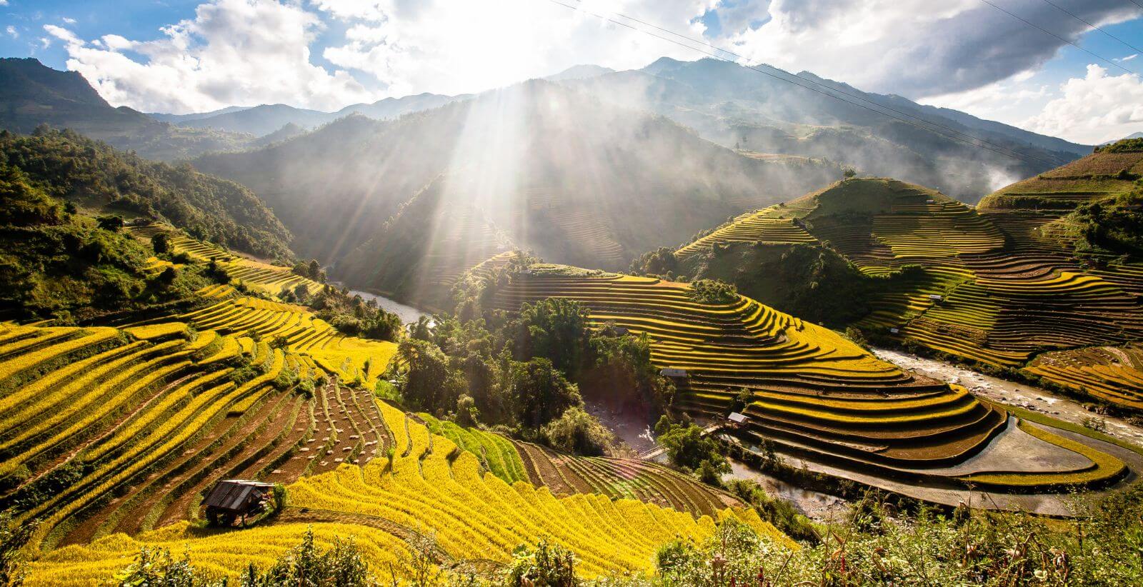 Du lịch Mù Cang Chải: Trải nghiệm mùa lúa chín tuyệt đẹp